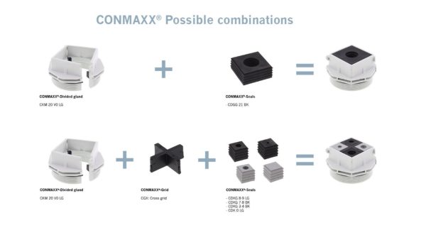 Glândula CONMAXX® - Imagem 3